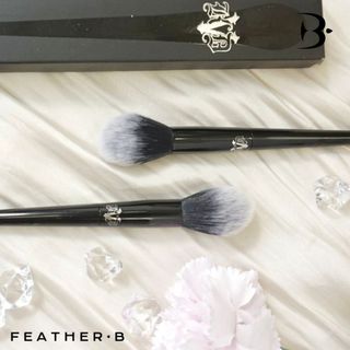 Feather B cọ má hồng dạng phấn KVD4