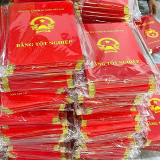 ✅ Sỉ Bằng Tốt Nghiệp Cỡ Nhỏ - Cỡ To Cho Các Cấp Chụp Hình Lưu Niệm, Kỷ Yếu, Tốt Nghiệp