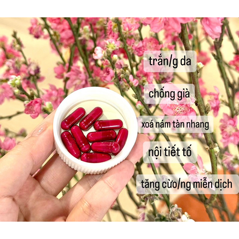 Viên Uống Tiên Đan Dược Giảm Nám Tàn Nhang ,Trắng Da Công Nghệ Bắc Kinh_Chống Lão Hóa,Chống Già, Chống Nắng 60v