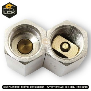 Van một chiều khí nén đồng ren trong CV dùng cho hệ thống hơi công nghiệp