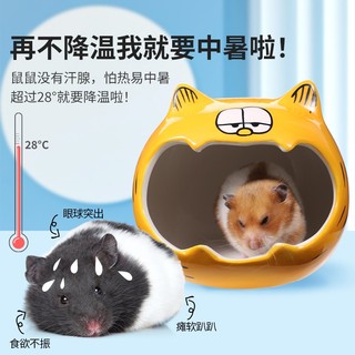  Nhà Ngủ Sứ Siêu To Cho Hamster Nhím Sóc Guinea Pig  Chuột lang  