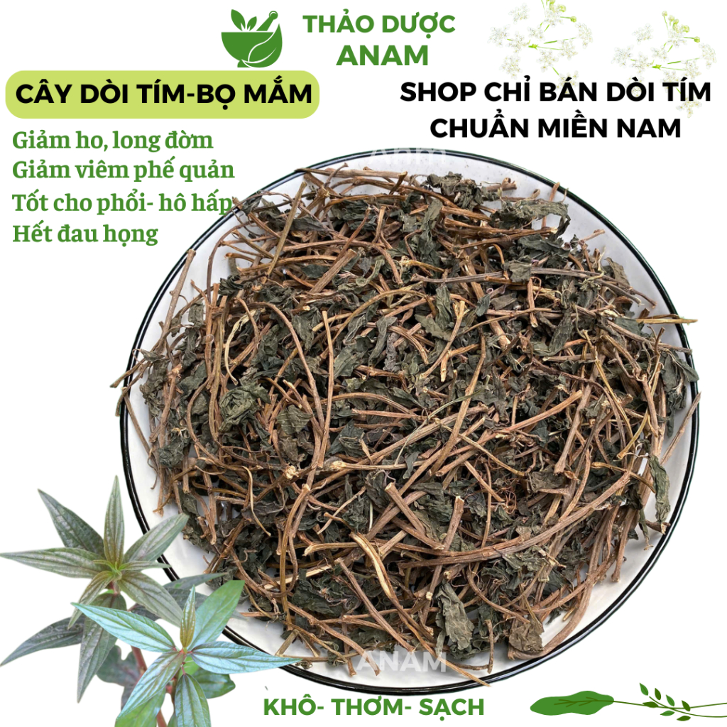 Cây dòi thân tím giảm ho tốt cho phổi chuẩn cây dòi tím MIỀN NAM cây bọ mắm cây dòi tía khô sạch thơm BM Thảo Dược Anam