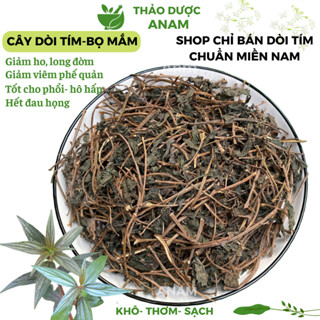 Cây dòi thân tím giảm ho tốt cho phổi chuẩn cây dòi tím MIỀN NAM cây bọ mắm cây dòi tía khô sạch thơm BM Thảo Dược Anam