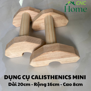 Dụng cụ hít đất MINI NHỎ GỌN (Hộp 2 cái) - Bộ chống đẩy hít đất gỗ tại nhà chịu lực nặng