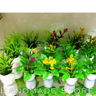 🌿🌿🌿 Chậu cây hoa nhựa