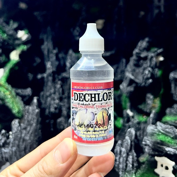 Dung Dịch Khử Clo DECHLOR 60ml