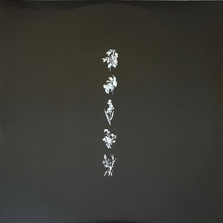 Sam Smith – Love Goes 2LP vinyl