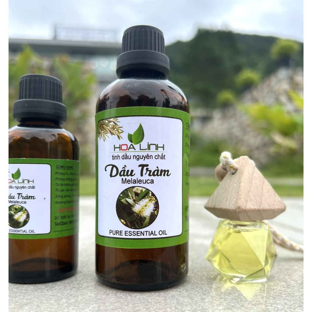 Tinh dầu tràm gió HOALINH ( Loại Đặc Biệt nguyên chất )  - Tặng vỏ lọ treo xe