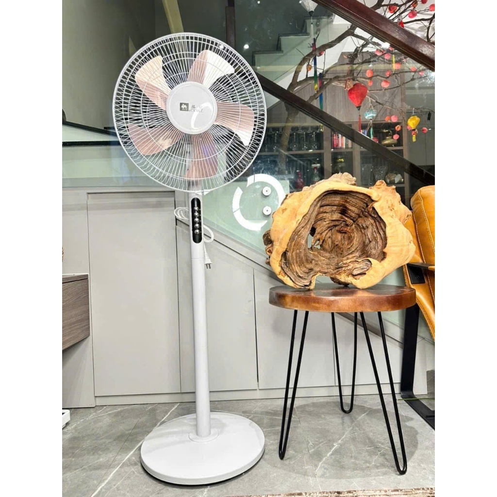 (Có Điều Khiển) Quạt Camel 5 Cánh Đồng
