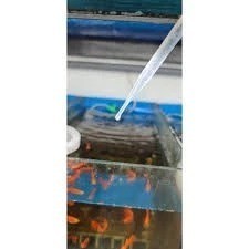 Sỉ - Lẻ - Ống hút attermia cho cá