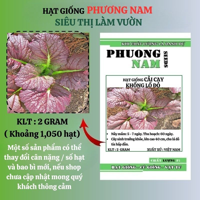 0.5 Gram - Hạt Giống Cải Cay Đỏ Khổng Lồ Phương Nam