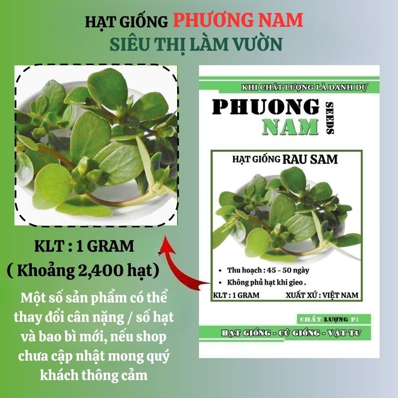 1 Gram - Hạt Giống   Rau Sam Phương Nam