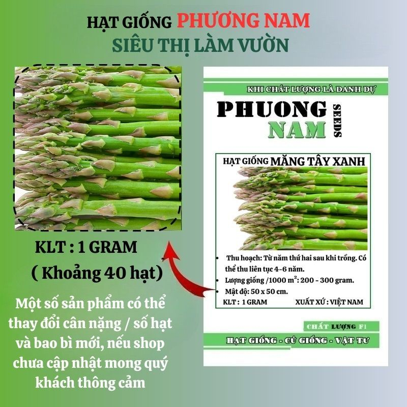 1 Gram - Hạt Giống Măng Tây Xanh Phương Nam