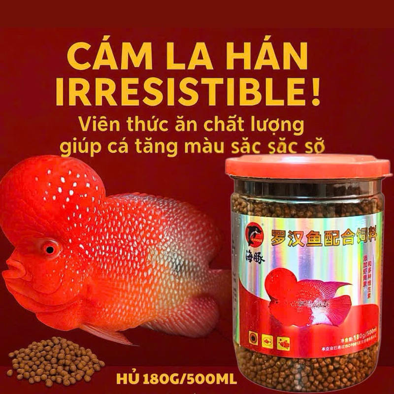 Cám cá la hán 180gr thức ăn lên đầu lên màu cho cá la hán DREAMER GUPPY