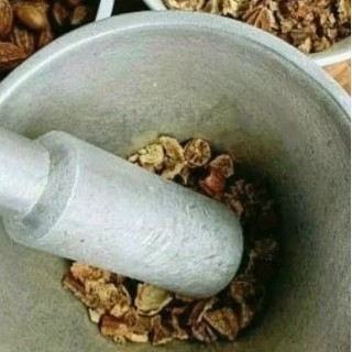 Kha Tử, hoa đu đủ ngâm mật ong rừng Lai Châu