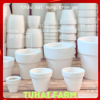 Chậu đất nung mini trồng sen đá, xương rồng (TRẮNG) - Nhiều Size