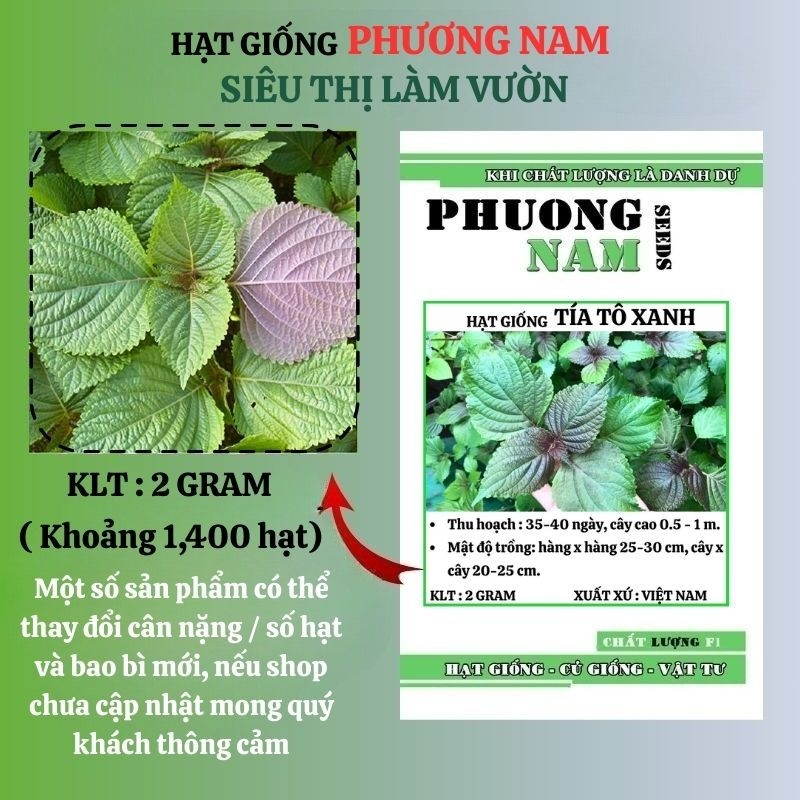 2 Gram - Hạt  Giống  Tía  Tô Xanh Phương Nam