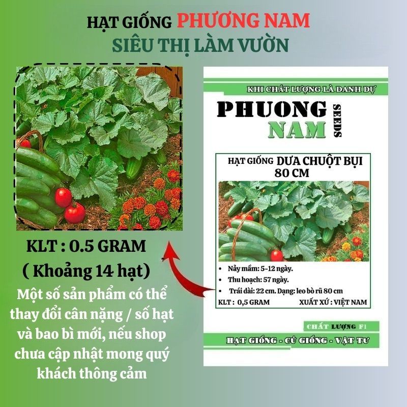 10 Hạt - Hạt Giống Dưa Chuột Bụi 80 Cm Phương Nam