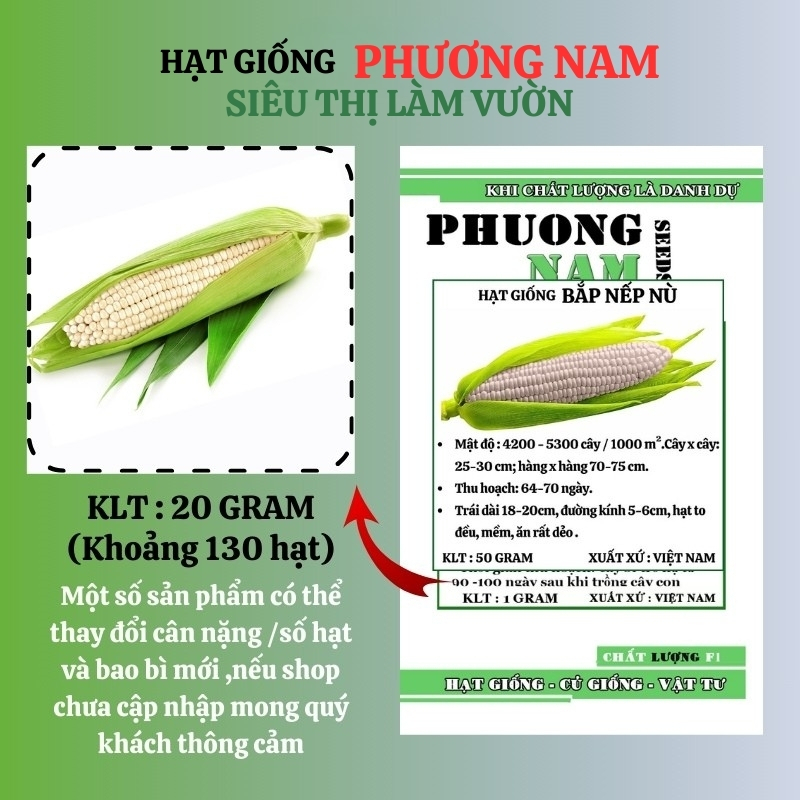 20 Gr - Hạt Giống Bắp Nếp Nù Phương Nam