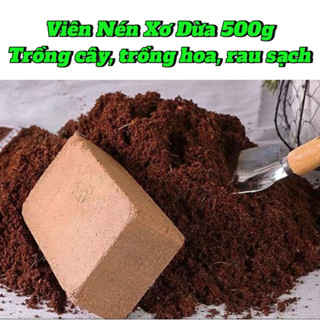 Combo 5 viên nén xơ dừa trồng cây, đất trồng hoa tiện ích đã xử lý kỹ