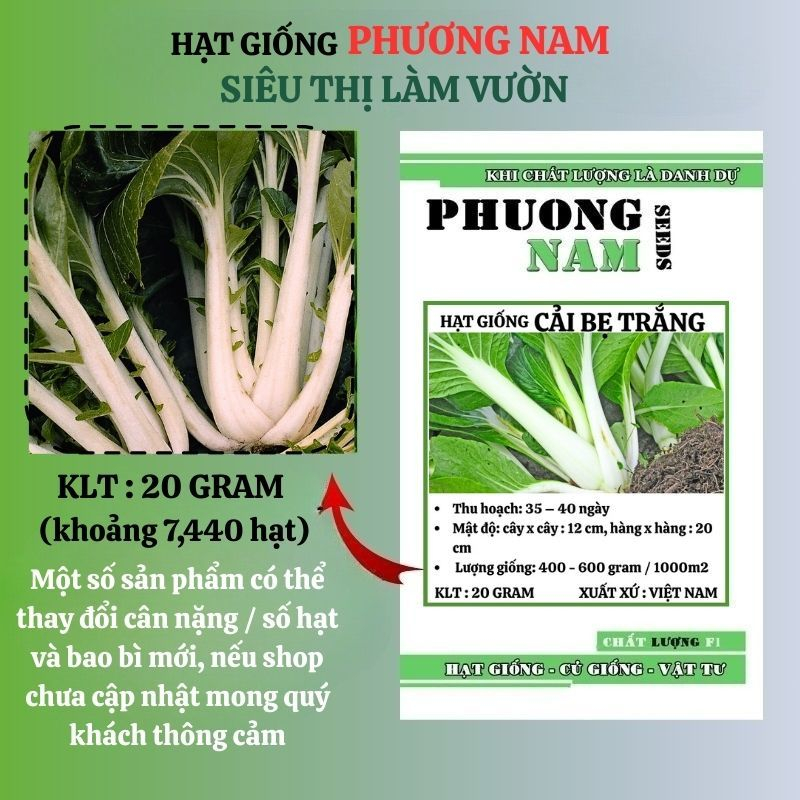 20 Gram - Hạt Giống Cải Bẹ Trắng Phương Nam