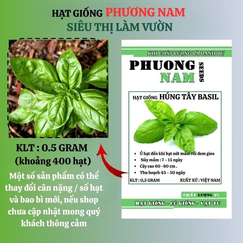 0,5 Gram - Hạt Giống Húng Tây Basilý Phương Nam