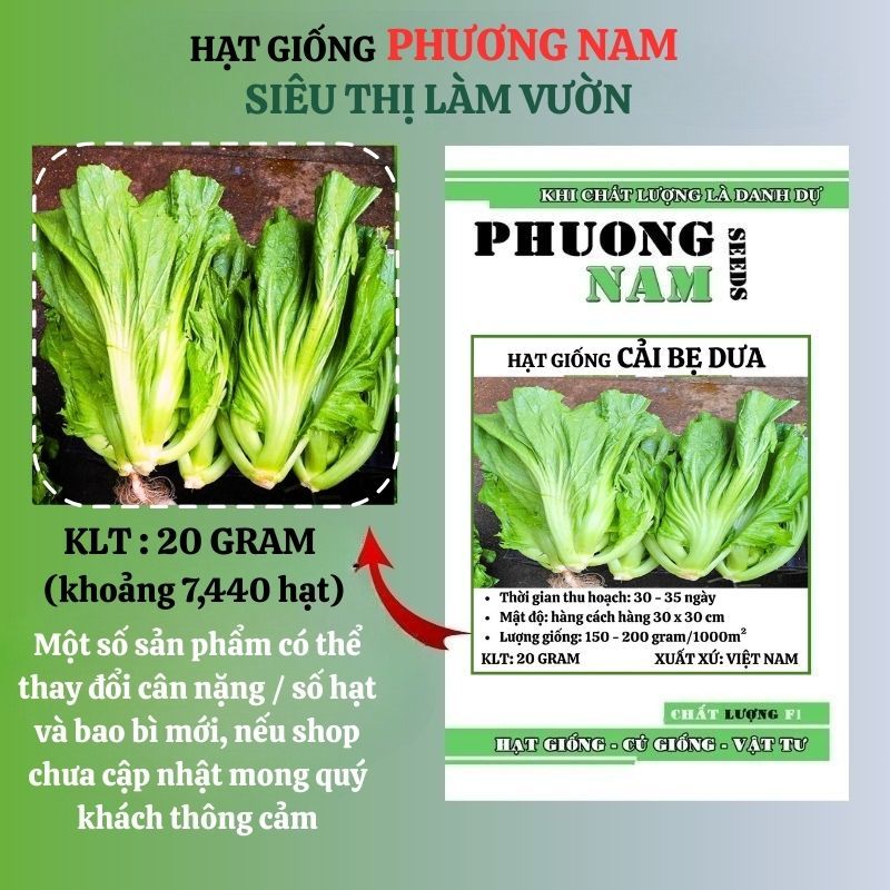 20 Gram - Hạt Giống Cải Bẹ Dưa Phương Nam