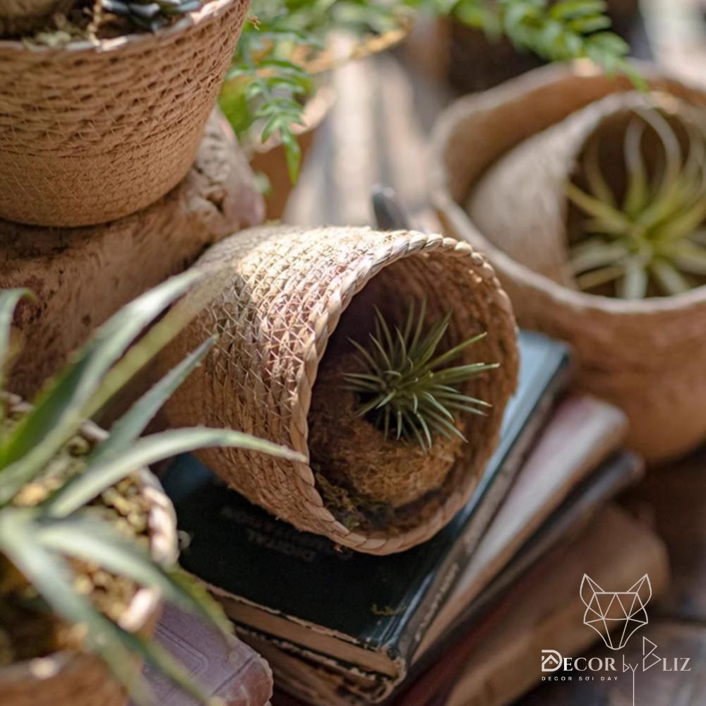 Giỏ cắm hoa, giỏ quà, đựng quà bằng cói có lót nilon dày dặn