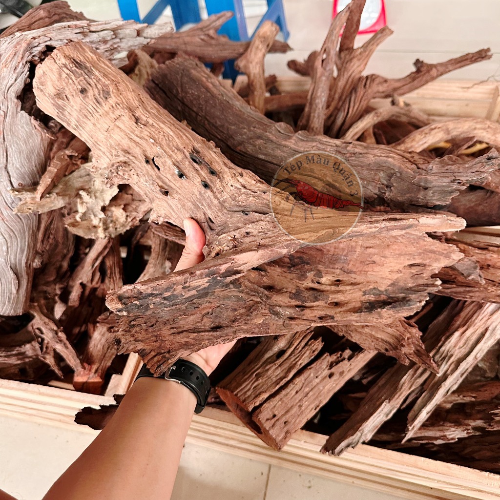 Lũa Ống San Đá - 1KG - Lũa Thủy Sinh - Tép Màu Quận 3