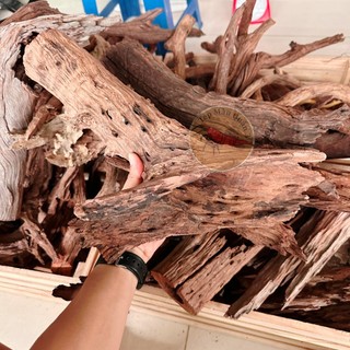 Lũa Ống San Đá - 1KG - Lũa Thủy Sinh - Tép Màu Quận 3