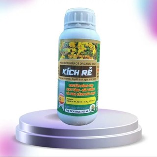 Kích rễ chuyên cho mai vàng cây kiểng Hộp Nửa lít