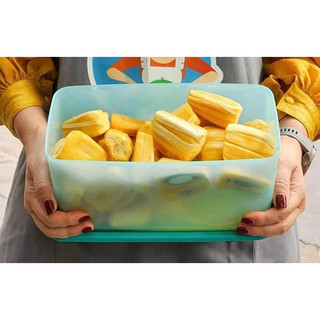 Bộ hộp Bảo quản thực phẩm FUNTASTIC  ( 3,1l ) Tupperware