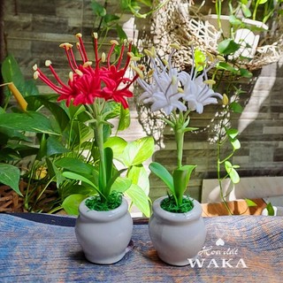 Hoa Đất Sét Mini- Hoa Bỉ Ngạn 15cm