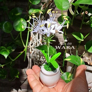 Hoa Đất Sét Mini- Hoa Bỉ Ngạn 15cm