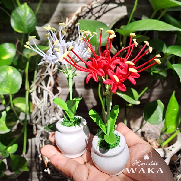 Hoa Đất Sét Mini- Hoa Bỉ Ngạn 15cm