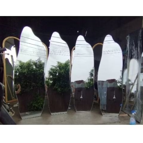 Gương soi toàn thân hình cá heo ( gương decor phòng)( gương hạt đậu) có viền chỉ ngoài