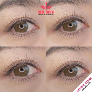 Set uốn mi colagen 3D Lashlift Hàn Quốc