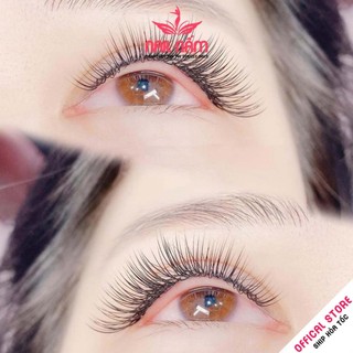 Set uốn mi colagen 3D Lashlift Hàn Quốc