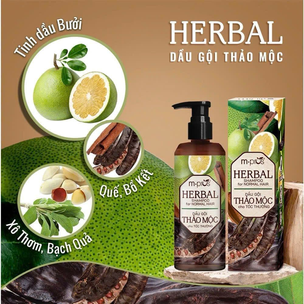 𝐃𝐚̂̀𝐮 𝐠𝐨̣̂𝐢 𝐭𝐡𝐚̉𝐨 𝐦𝐨̣̂𝐜 𝐇𝐞𝐫𝐛𝐚𝐥 𝐦.𝐩𝐫𝐨𝐬