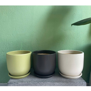 Chậu sứ trồng cây ( kèm dĩa )  - Chậu sứ Việt Nam xuất khẩu - Chậu sứ basic