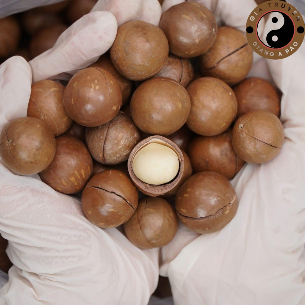 Hạt macca Lai Châu sấy khô nguyên hạt loại 1 làm sữa (500g 1kg) từ hạt quả macca, mắc ca, mac ca hữu