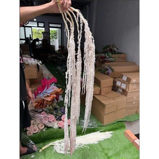 Dền rũ tươi sấy khô nhiều màu ( hàng có sẵn có thể đặt hỏa tốc )