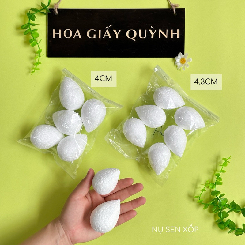NỤ SEN XỐP 4cm/4.3cm