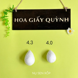 NỤ SEN XỐP 4cm/4.3cm