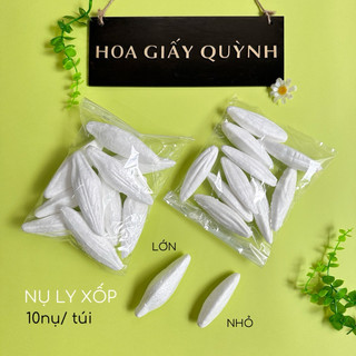 NỤ LY XỐP NHỎ
