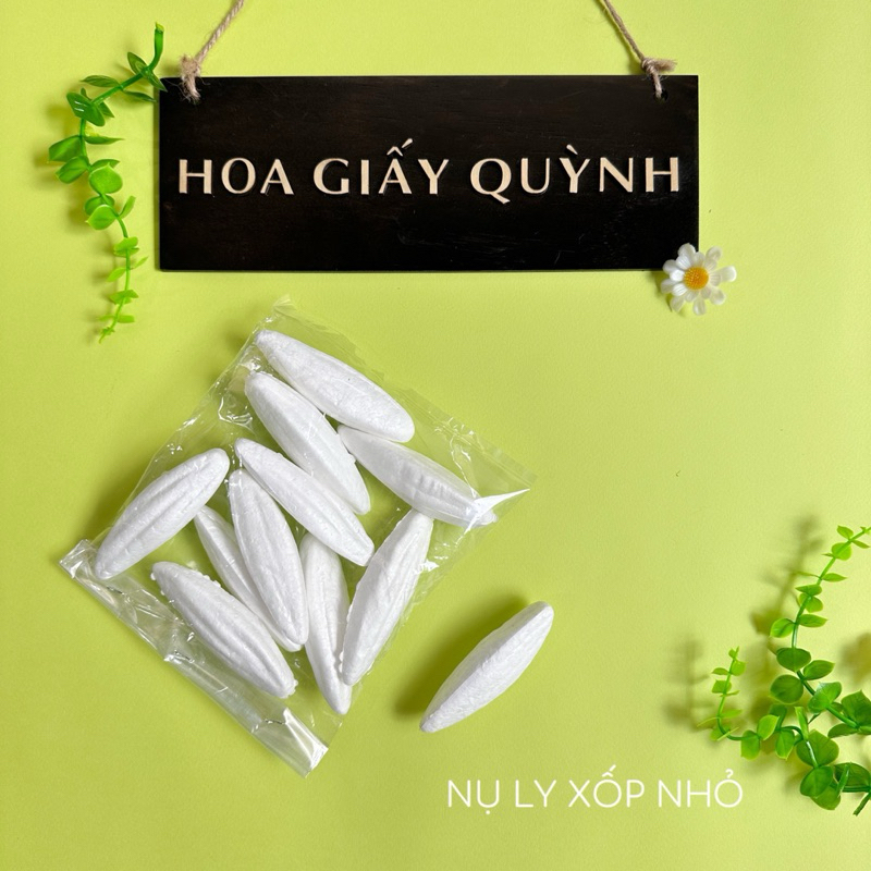 NỤ LY XỐP NHỎ