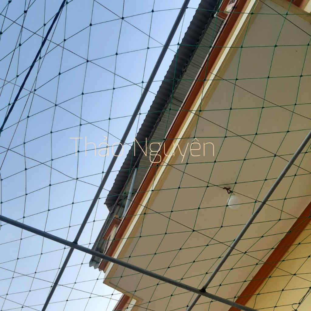 LƯỚI GIÀN LEO CÂY BẦU , BÍ. 4mx5m