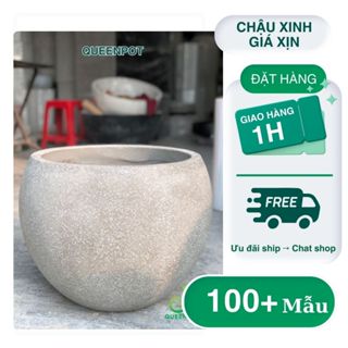 Chậu Tròn Trứng -  Chất liệu chậu xi măng nhẹ ( Đá Mài )