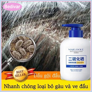 Bedivar Dầu Gội Nấm Ngứa Da Đầu MaiGoole 300ml Loại Bỏ Sạch Sẽ Gàu Ngứa, Vảy Phấn Trắng Da Đầu