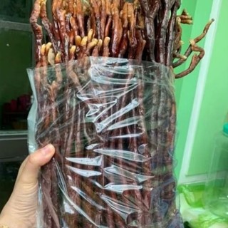Nấm linh chi sừng hươu